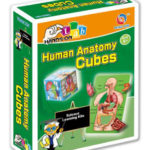 SCIENTIFIC EXPERIMENTS, HUMAN ANATOMY CUBES