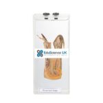 INJECTED DISSECTED SPECIMEN OF SNAKE