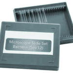 PREPARED SLIDE SET BACTERIA SET/12