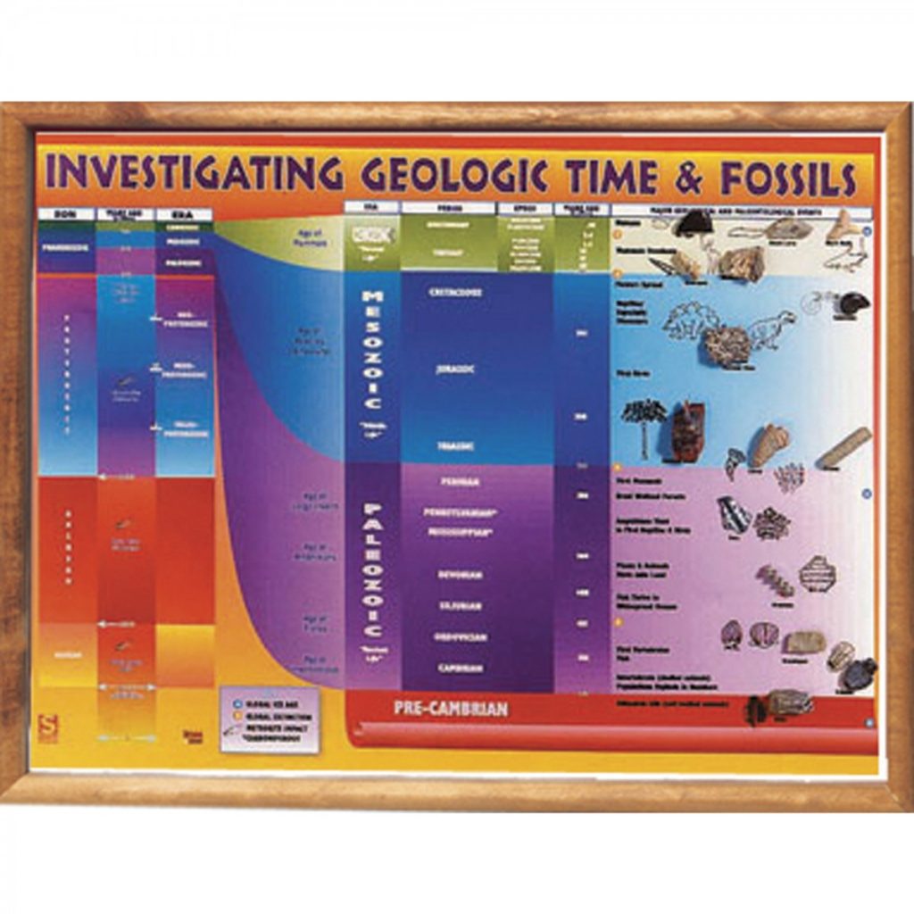 Geological Time and Fossils Chart - Eduscience Video Gallery