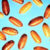House Fly Pupae 100/Pack