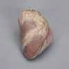 Preserved Sheep Heart Specimen
