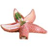 Star fish model
