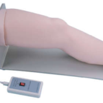 KNEE JOINT CAVITY INJECTION MODEL