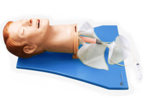 Adult Airway Management Trainer with Board - Eduscience Video Gallery