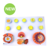 Human Fertilization Embryology Model