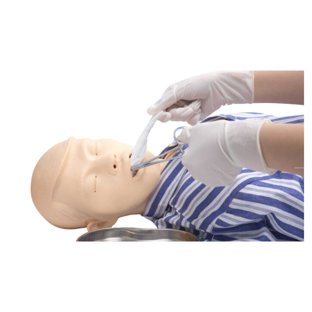 Nursing Care Patient Simulator