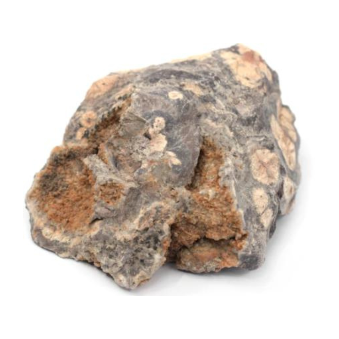Rhyolite Rock Specimen 45x30mm
