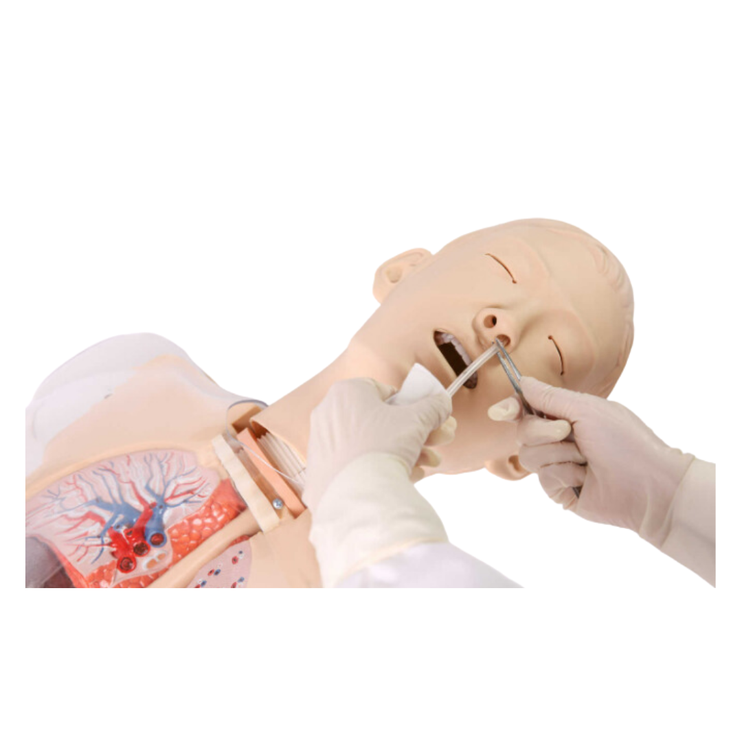 Tube Feeding Training Simulator