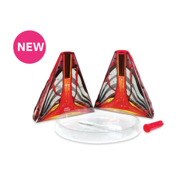 Volcano Model Cross Section