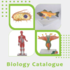 biology catalog