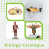 BIOLOGY